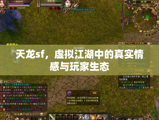 天龙sf，虚拟江湖中的真实情感与玩家生态