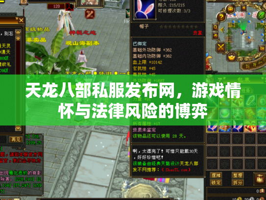 天龙八部私服发布网，游戏情怀与法律风险的博弈
