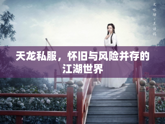 天龙私服，怀旧与风险并存的江湖世界