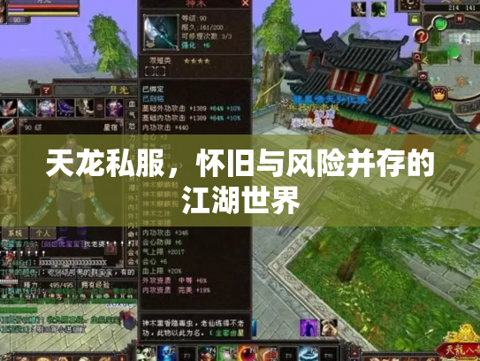 天龙私服，怀旧与风险并存的江湖世界