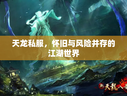 天龙私服，怀旧与风险并存的江湖世界