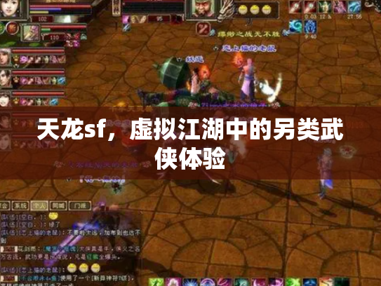 天龙sf，虚拟江湖中的另类武侠体验