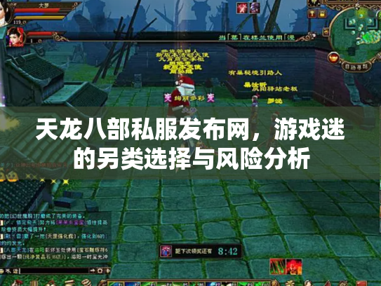 天龙八部私服发布网，游戏迷的另类选择与风险分析