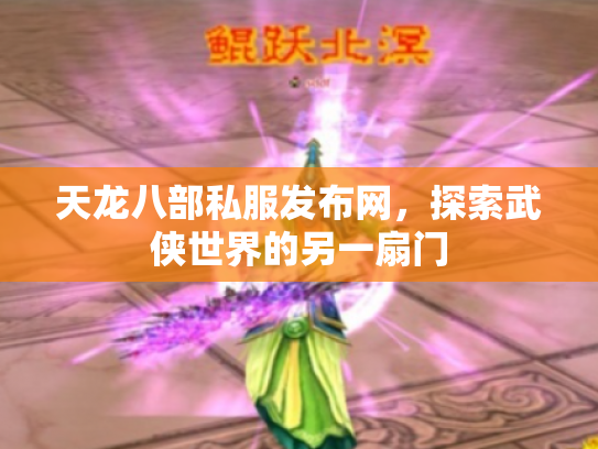 天龙八部私服发布网，探索武侠世界的另一扇门