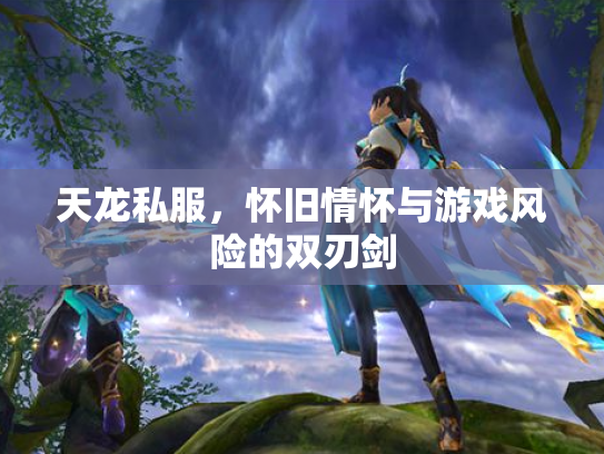 天龙私服，怀旧情怀与游戏风险的双刃剑