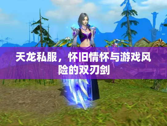 天龙私服，怀旧情怀与游戏风险的双刃剑