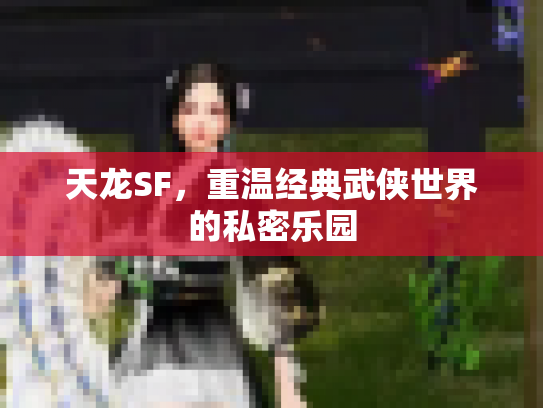 天龙SF，重温经典武侠世界的私密乐园