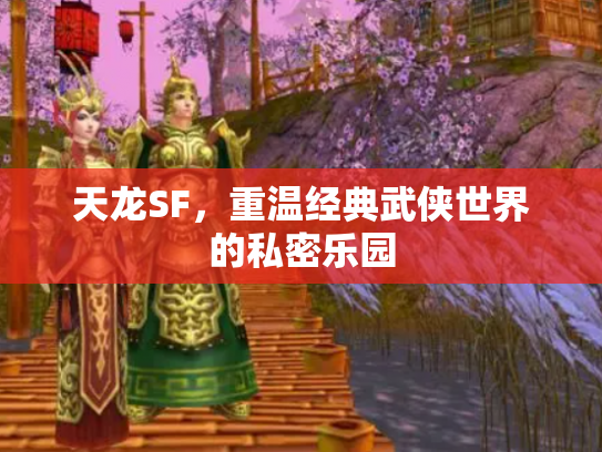 天龙SF，重温经典武侠世界的私密乐园