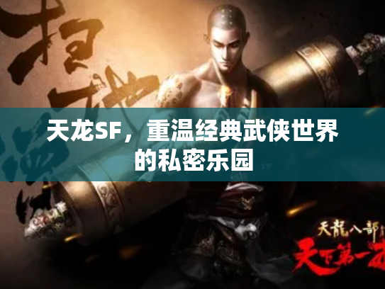 天龙SF，重温经典武侠世界的私密乐园
