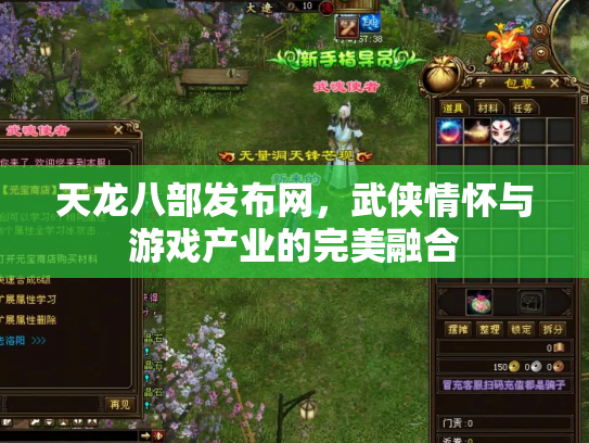 天龙八部发布网，武侠情怀与游戏产业的完美融合