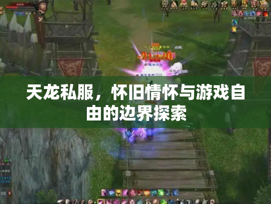 天龙私服，怀旧情怀与游戏自由的边界探索