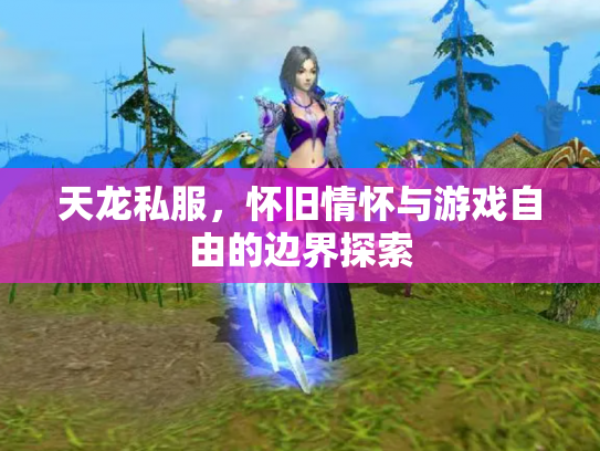天龙私服，怀旧情怀与游戏自由的边界探索