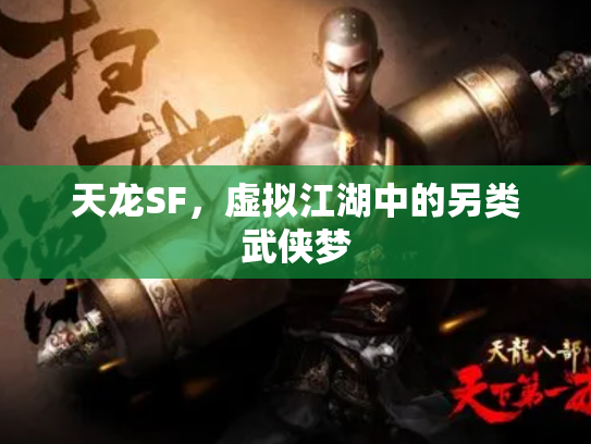 天龙SF，虚拟江湖中的另类武侠梦