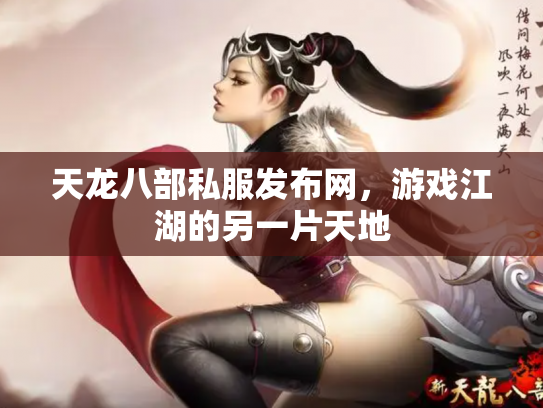 天龙八部私服发布网，游戏江湖的另一片天地