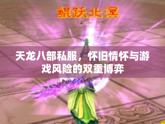天龙八部私服，怀旧情怀与游戏风险的双重博弈