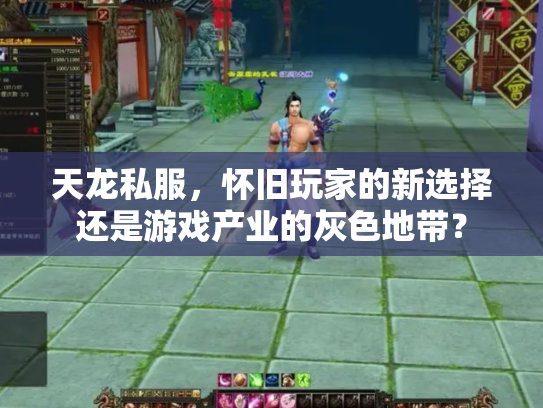天龙私服，怀旧玩家的新选择还是游戏产业的灰色地带？