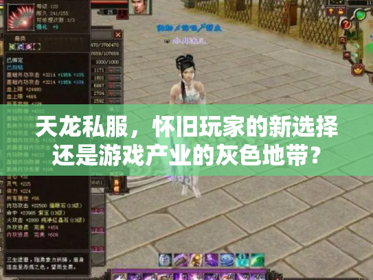 天龙私服，怀旧玩家的新选择还是游戏产业的灰色地带？