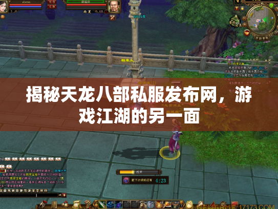 揭秘天龙八部私服发布网，游戏江湖的另一面