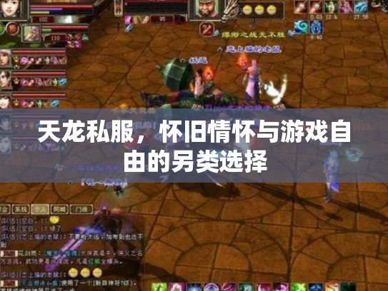 天龙私服，怀旧情怀与游戏自由的另类选择