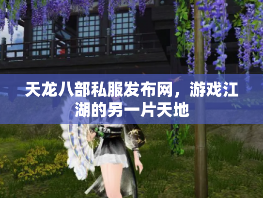 天龙八部私服发布网，游戏江湖的另一片天地