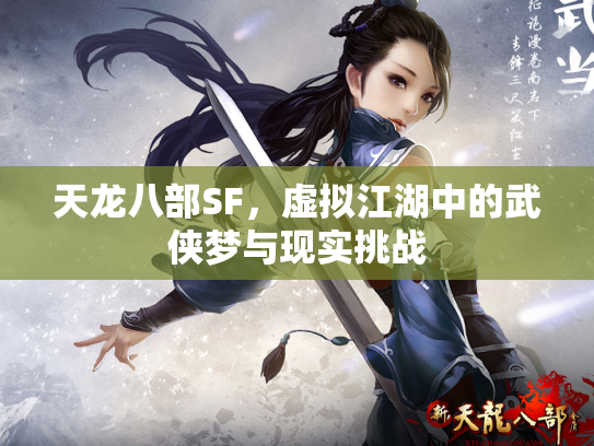 天龙八部SF，虚拟江湖中的武侠梦与现实挑战