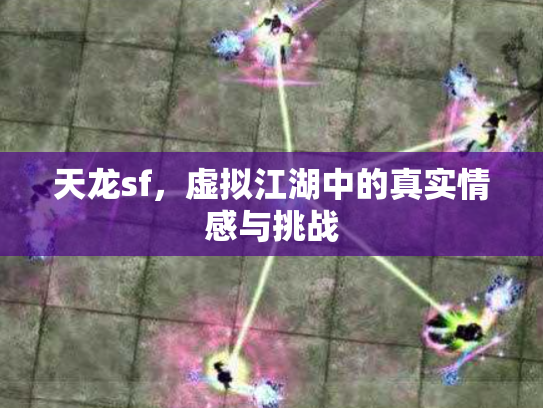 天龙sf，虚拟江湖中的真实情感与挑战