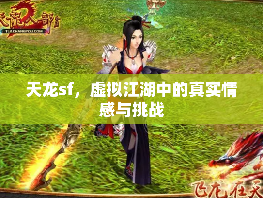 天龙sf，虚拟江湖中的真实情感与挑战
