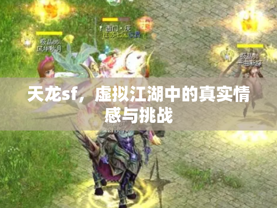 天龙sf，虚拟江湖中的真实情感与挑战