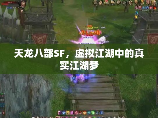 天龙八部SF，虚拟江湖中的真实江湖梦