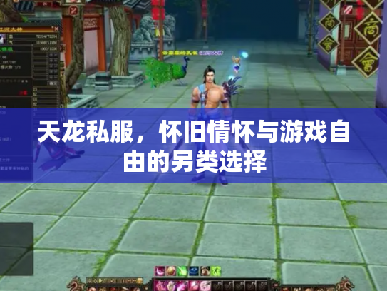 天龙私服，怀旧情怀与游戏自由的另类选择