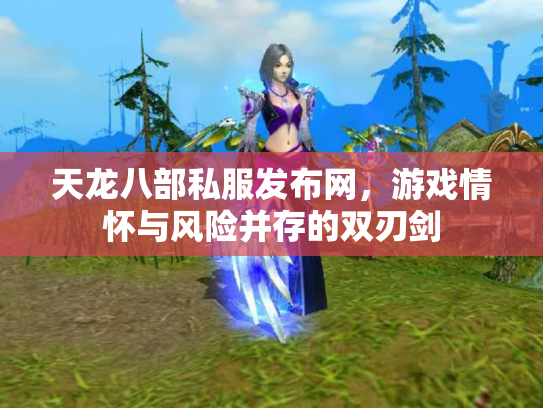 天龙八部私服发布网，游戏情怀与风险并存的双刃剑