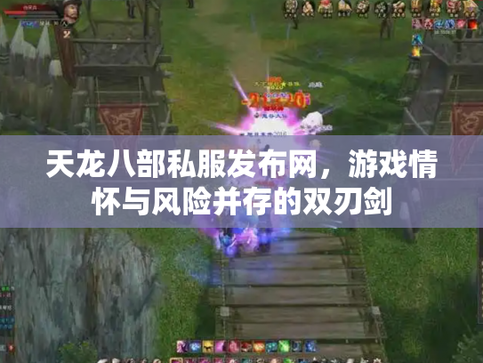 天龙八部私服发布网，游戏情怀与风险并存的双刃剑