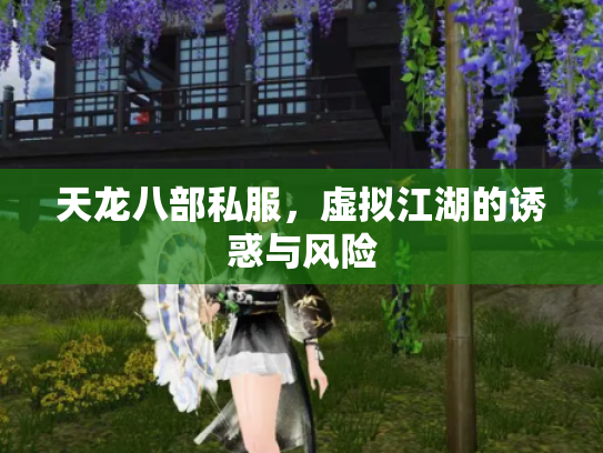 天龙八部私服，虚拟江湖的诱惑与风险