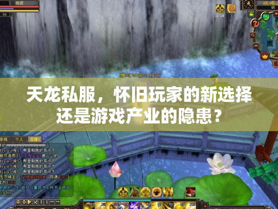 天龙私服，怀旧玩家的新选择还是游戏产业的隐患？