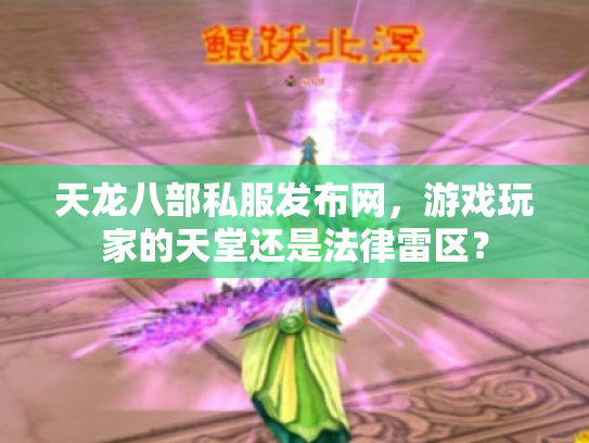 天龙八部私服发布网，游戏玩家的天堂还是法律雷区？