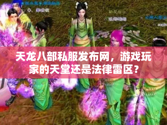 天龙八部私服发布网，游戏玩家的天堂还是法律雷区？