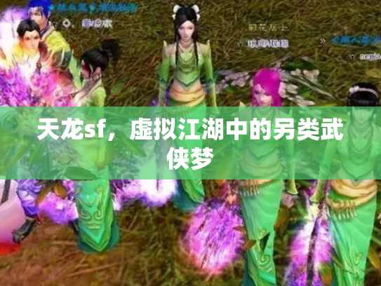 天龙sf，虚拟江湖中的另类武侠梦