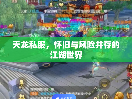 天龙私服，怀旧与风险并存的江湖世界