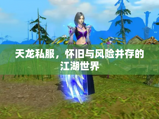 天龙私服，怀旧与风险并存的江湖世界