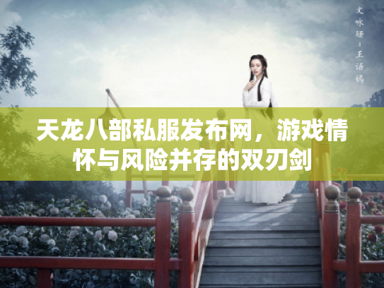 天龙八部私服发布网，游戏情怀与风险并存的双刃剑