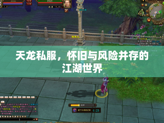 天龙私服，怀旧与风险并存的江湖世界