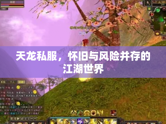 天龙私服，怀旧与风险并存的江湖世界