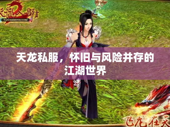 天龙私服，怀旧与风险并存的江湖世界