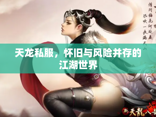 天龙私服，怀旧与风险并存的江湖世界