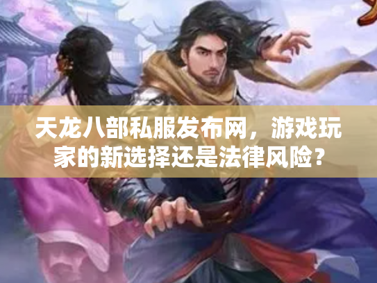 天龙八部私服发布网，游戏玩家的新选择还是法律风险？
