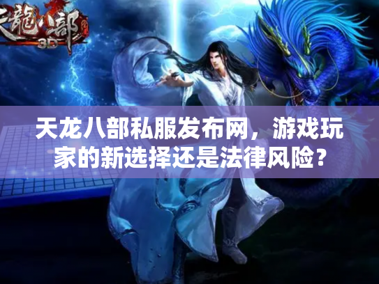 天龙八部私服发布网，游戏玩家的新选择还是法律风险？