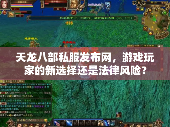 天龙八部私服发布网，游戏玩家的新选择还是法律风险？