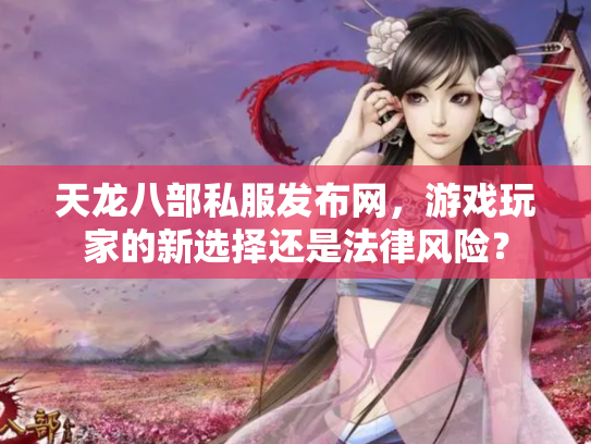 天龙八部私服发布网，游戏玩家的新选择还是法律风险？