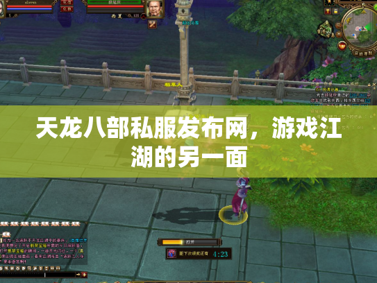 天龙八部私服发布网，游戏江湖的另一面