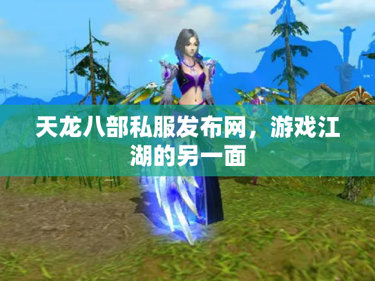 天龙八部私服发布网，游戏江湖的另一面